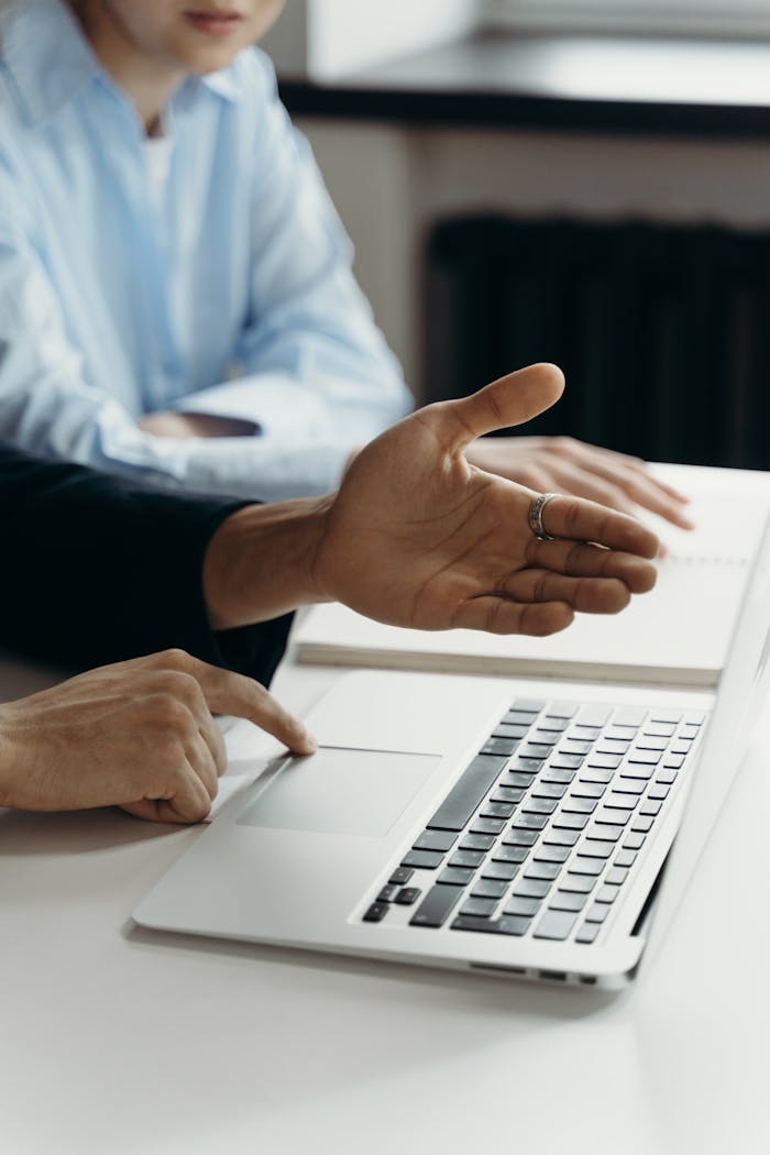 Person Using a Laptop